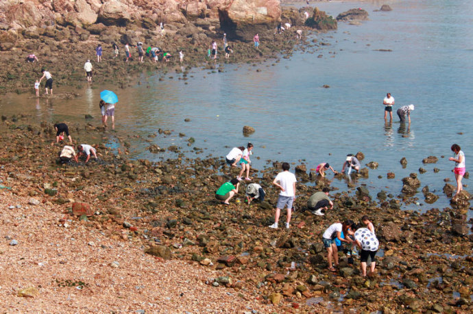 海王九岛最佳赶海时间