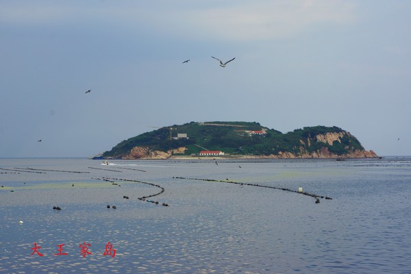 海王九岛之大王家岛海岛游 海岛查询网大连海岛