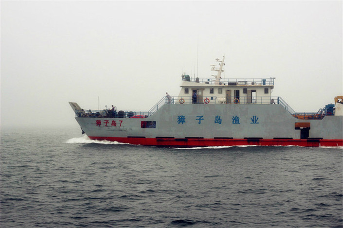 客船缓缓驶离皮口港,行驶途中,天空有一群海鸥相伴,有些游客拿出了